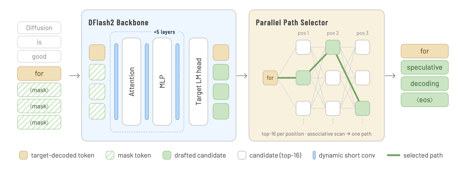 A left-to-right pipeline diagram. On the left, a context of tokens ending in the target-decoded token 'for', followed by three mask tokens. These enter the DFlash2 Backbone: five layers of attention and MLP with dynamic short convolutions before and after each, then the target LM head, producing drafted candidates. Those feed the Parallel Path Selector, drawn as a trellis of top-16 candidate boxes at positions one, two and three with a green path traced through one candidate per column, labelled 'top-16 per position, associative scan to one path'. On the right, the emitted sequence: for, speculative, decoding, end-of-sequence.