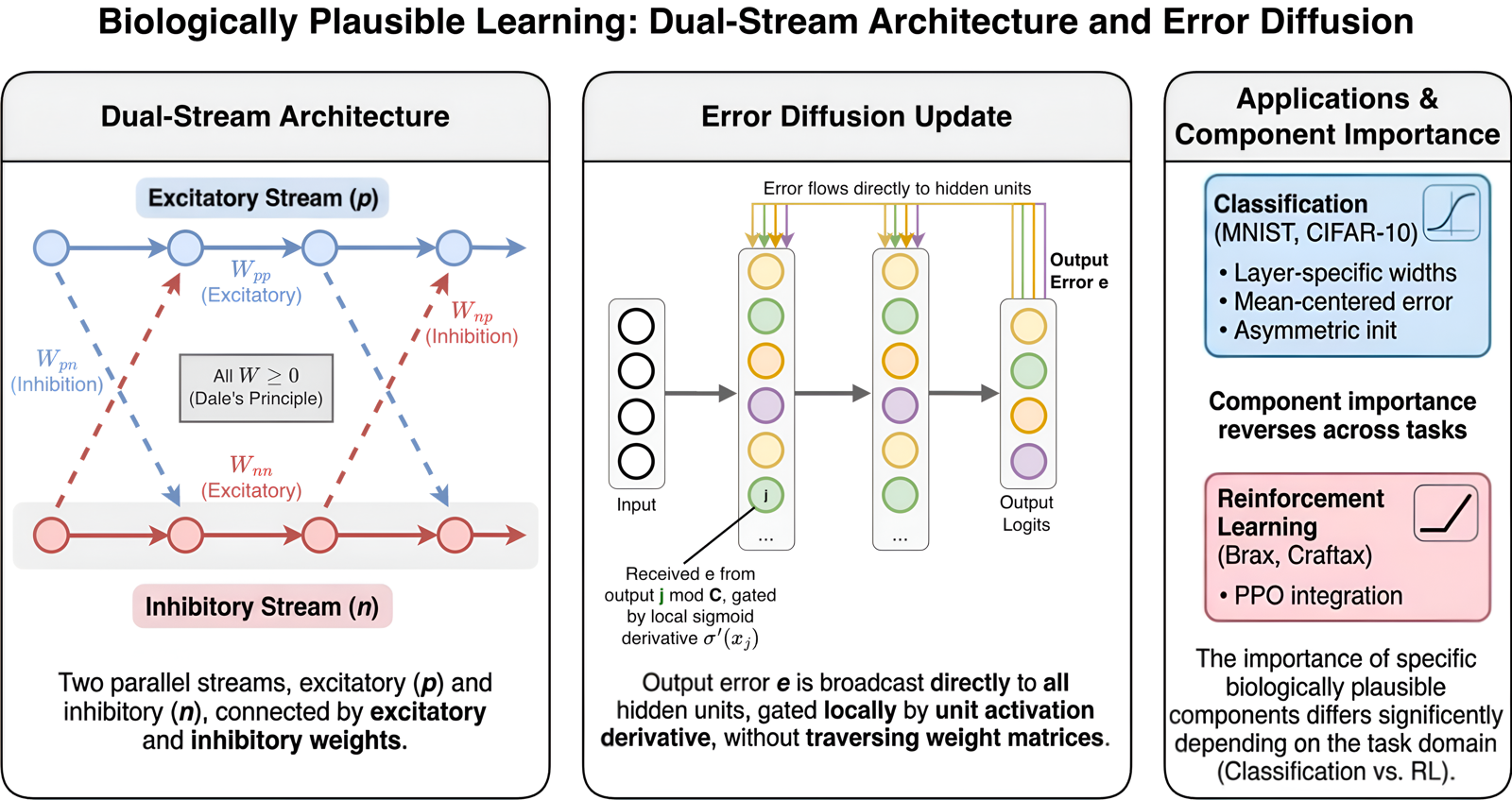 Three-panel overview. Left: the dual-stream excitatory/inhibitory architecture, with separate positive and negative streams and four non-negative weight matrices per layer, enforcing Dale's principle structurally. Center: the Error Diffusion update broadcasting the output error directly to all hidden layers, without transposed weights or random feedback matrices. Right: the shared architecture applied to classification, with layer-specific sigmoid widths, batch-centered class error, and asymmetric initialization, and to reinforcement learning via PPO integration.