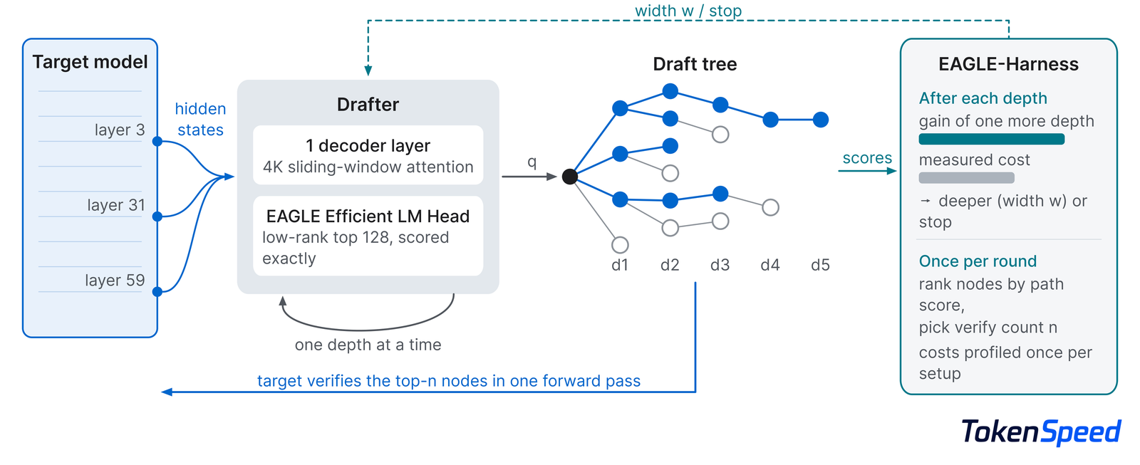 Diagram: the target model's layers 3, 31 and 59 feed hidden states to a drafter made of one decoder layer with 4K sliding-window attention and the EAGLE Efficient LM Head. The drafter grows a draft tree depth by depth. EAGLE-Harness compares the gain of one more depth with its measured cost, picks width or stop, and once per round ranks nodes and picks how many the target verifies in one forward pass.