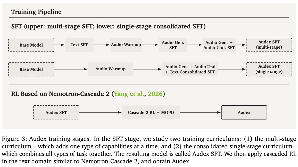 Audex training pipeline: two SFT curricula (multi-stage adding one capability at a time, versus a consolidated single-stage), followed by Cascade-2-style RL with MOPD to produce the final Audex model.