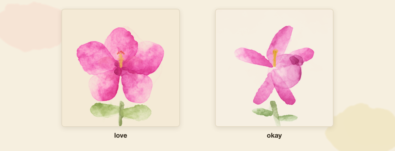 Two hibiscus watercolour paintings side by side in rounded cards on a cream background, labelled love and okay beneath each. The love painting is a symmetrical five-petal magenta-pink hibiscus with a yellow-orange stamen and two pale green leaves. The okay painting is a looser, more lopsided pink hibiscus with a dark maroon smudge on one petal, a shorter orange stamen, and a single thin leaf.