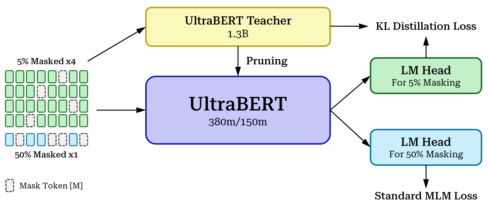 Diagram: batches of 5% masked sequences (four times as many) and 50% masked sequences feed UltraBERT, which was pruned from a 1.3B teacher. Two LM heads come off the encoder: the 5% head is trained against the teacher with a KL distillation loss, and the 50% head with the standard MLM loss.