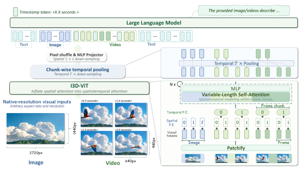 I3D-ViT pipeline: native-resolution frames are patchified, given spatial and temporal positional embeddings, passed through variable-length self-attention within 4-frame chunks, then chunk-wise temporal pooling and a 2x2 pixel-shuffle merge feed compact video tokens into the LLM.